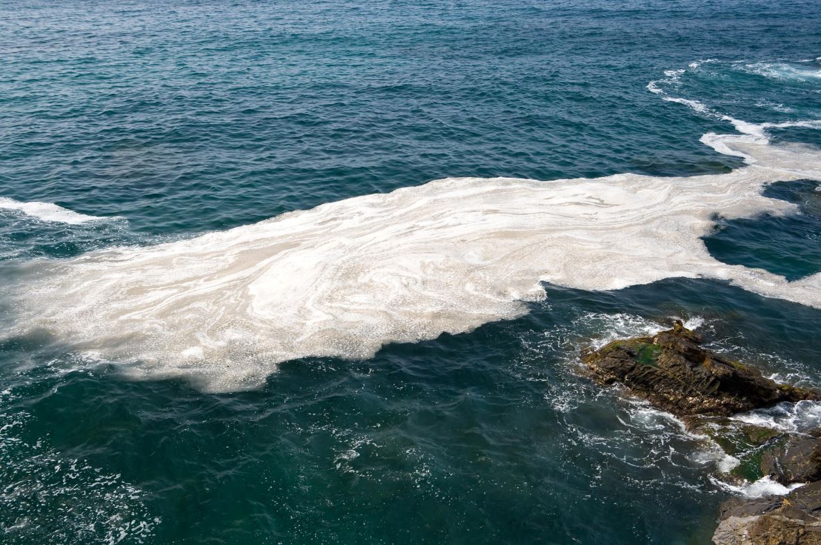 No biodegradación en el agua y toxicidad de los detergentes en la vida acuática